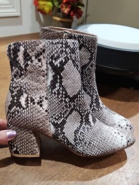 Chinese Laundry Snake-Print Block Heel Ankle Boots - Black & Cream